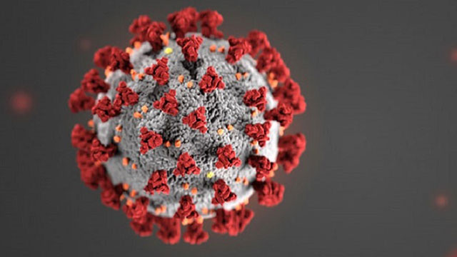 What is Herd Immunity? Why is it Important? And Is it a Strategic Option in India’s Fight Against Coronavirus?